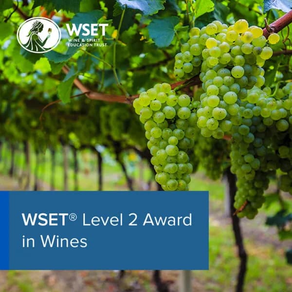 WSET Level 2 Wine Feb - 2027